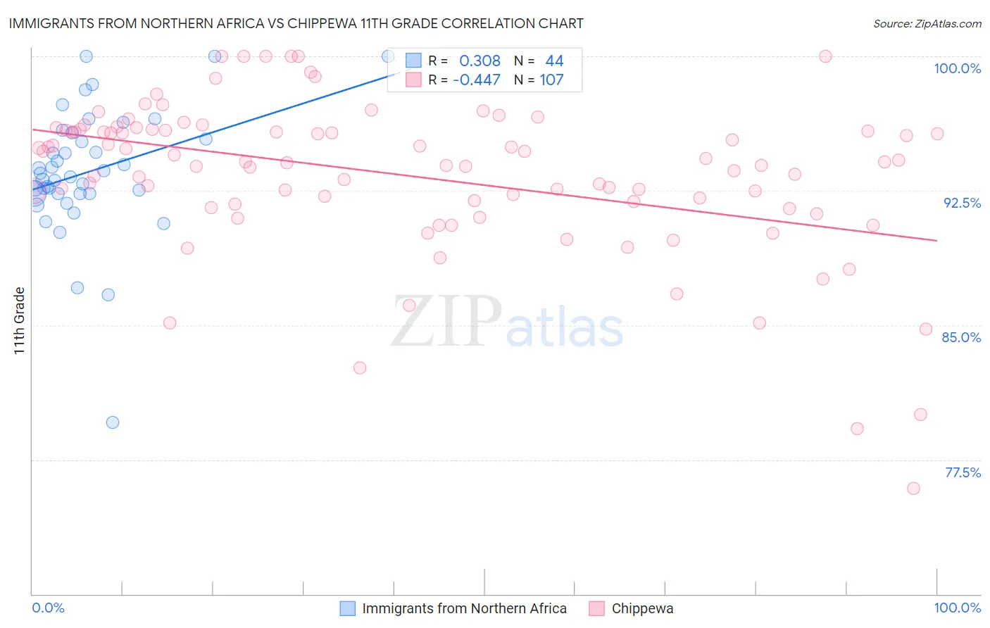 Immigrants from Northern Africa vs Chippewa 11th Grade