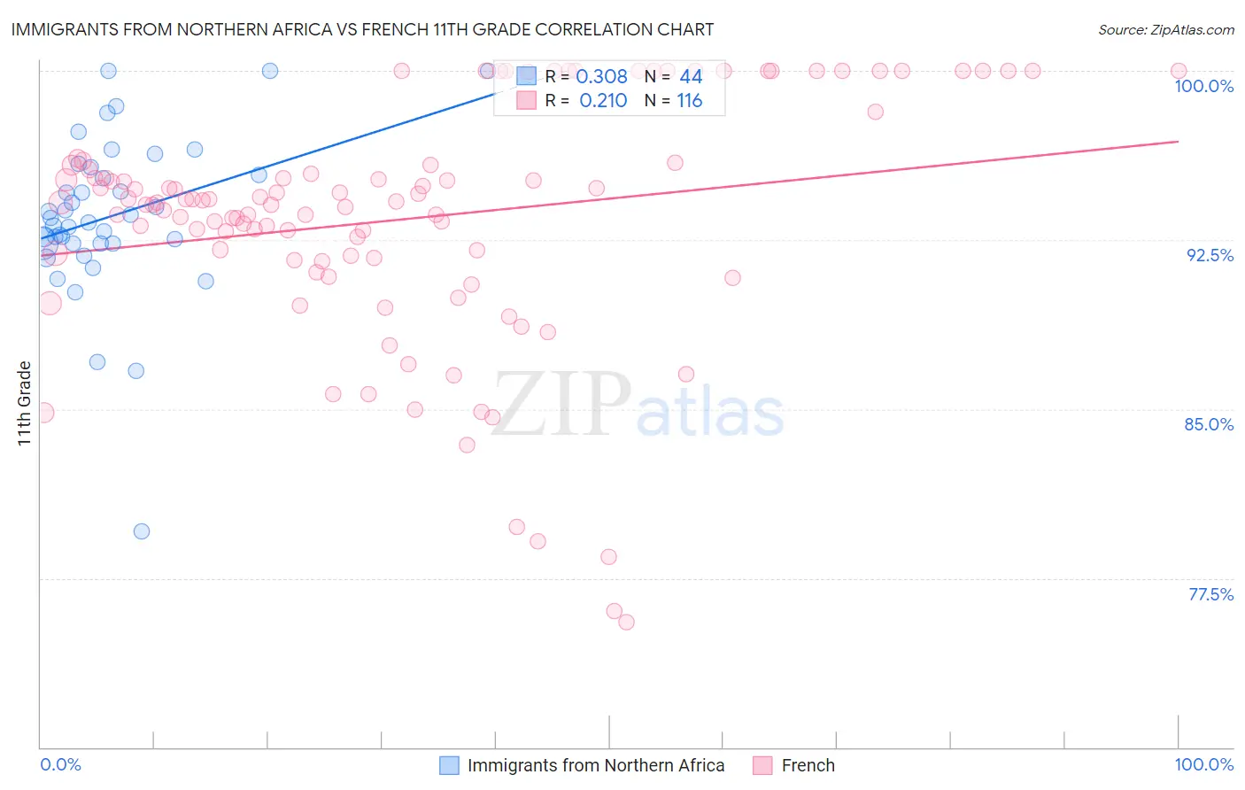 Immigrants from Northern Africa vs French 11th Grade