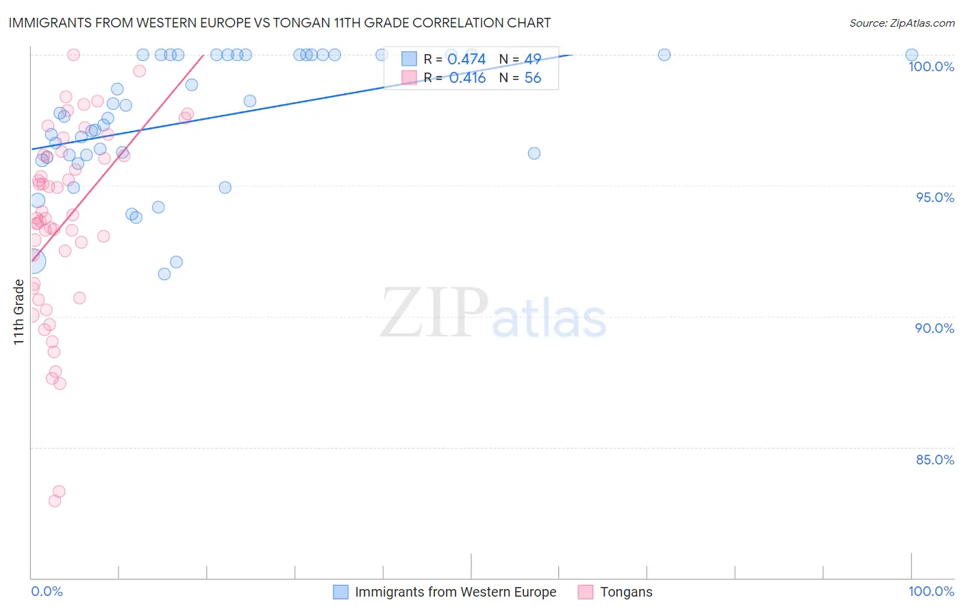 Immigrants from Western Europe vs Tongan 11th Grade