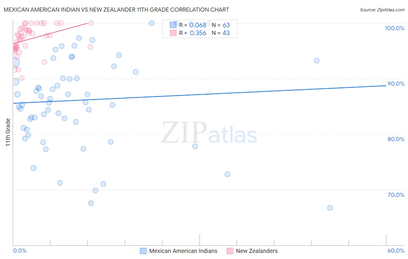 Mexican American Indian vs New Zealander 11th Grade