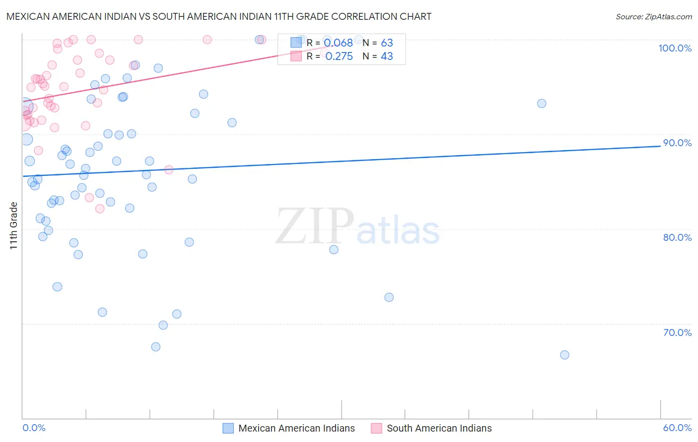 Mexican American Indian vs South American Indian 11th Grade