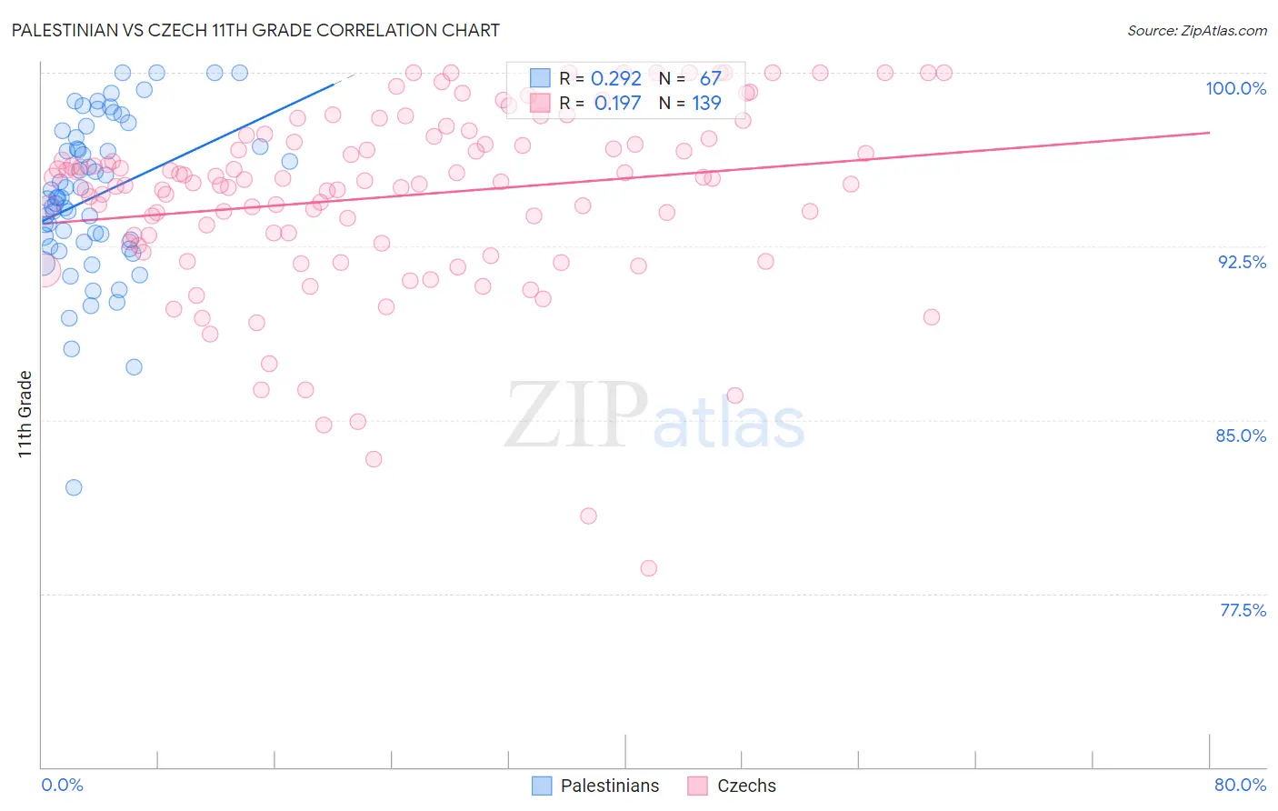 Palestinian vs Czech 11th Grade