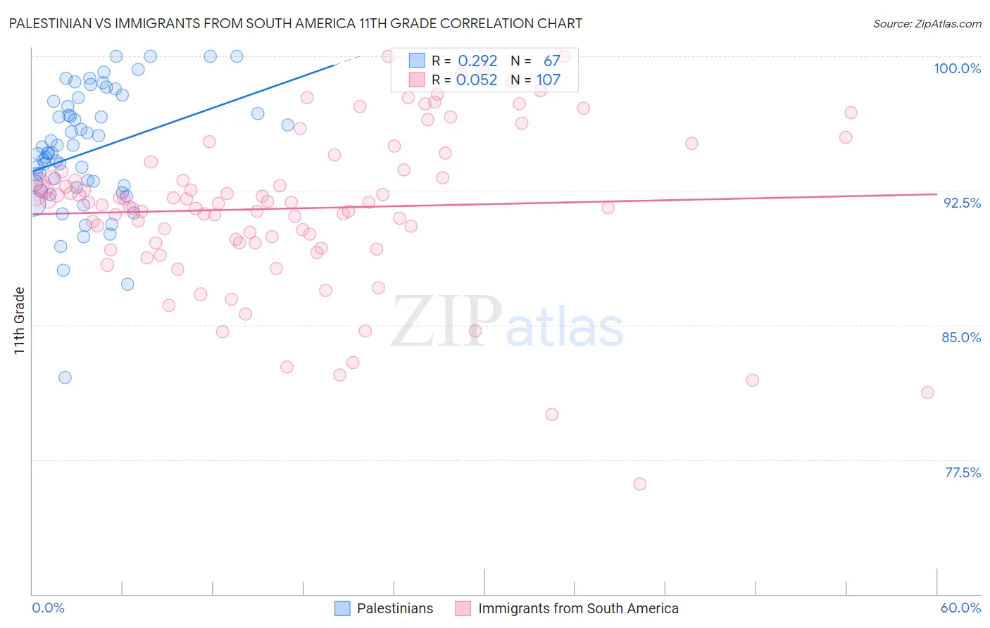 Palestinian vs Immigrants from South America 11th Grade