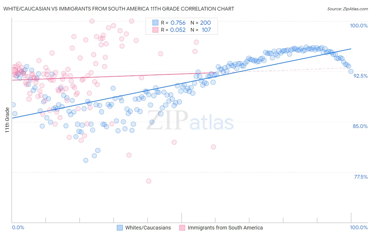 White/Caucasian vs Immigrants from South America 11th Grade