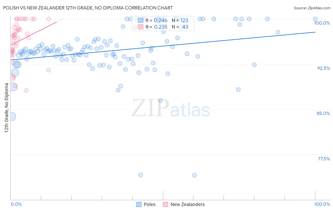 Polish vs New Zealander 12th Grade, No Diploma