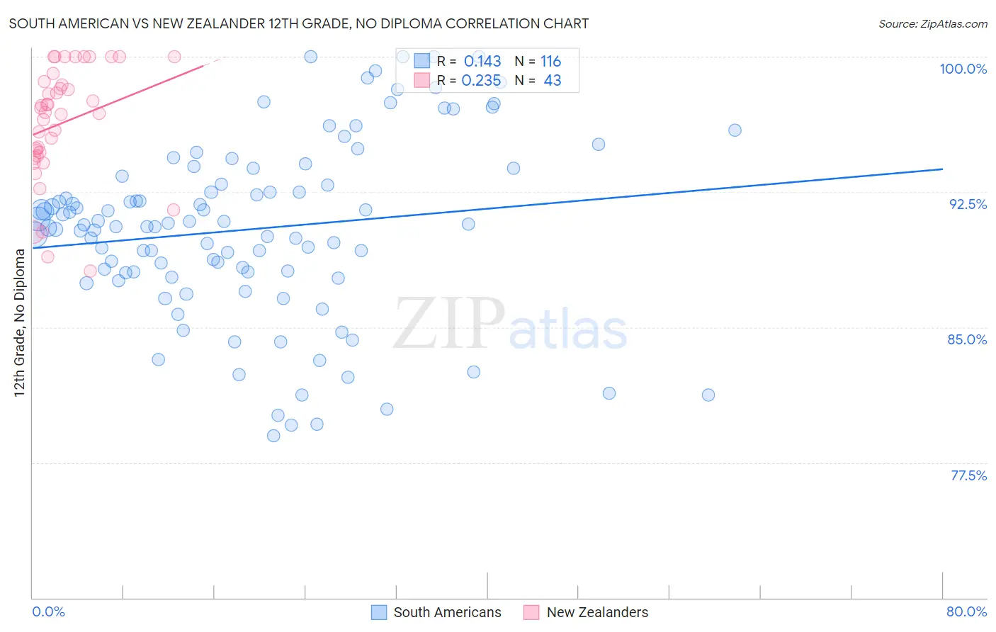 South American vs New Zealander 12th Grade, No Diploma