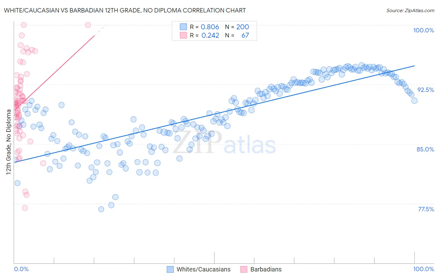 White/Caucasian vs Barbadian 12th Grade, No Diploma