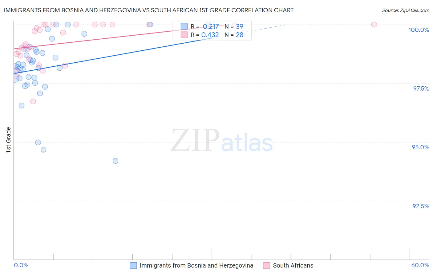 Immigrants from Bosnia and Herzegovina vs South African 1st Grade