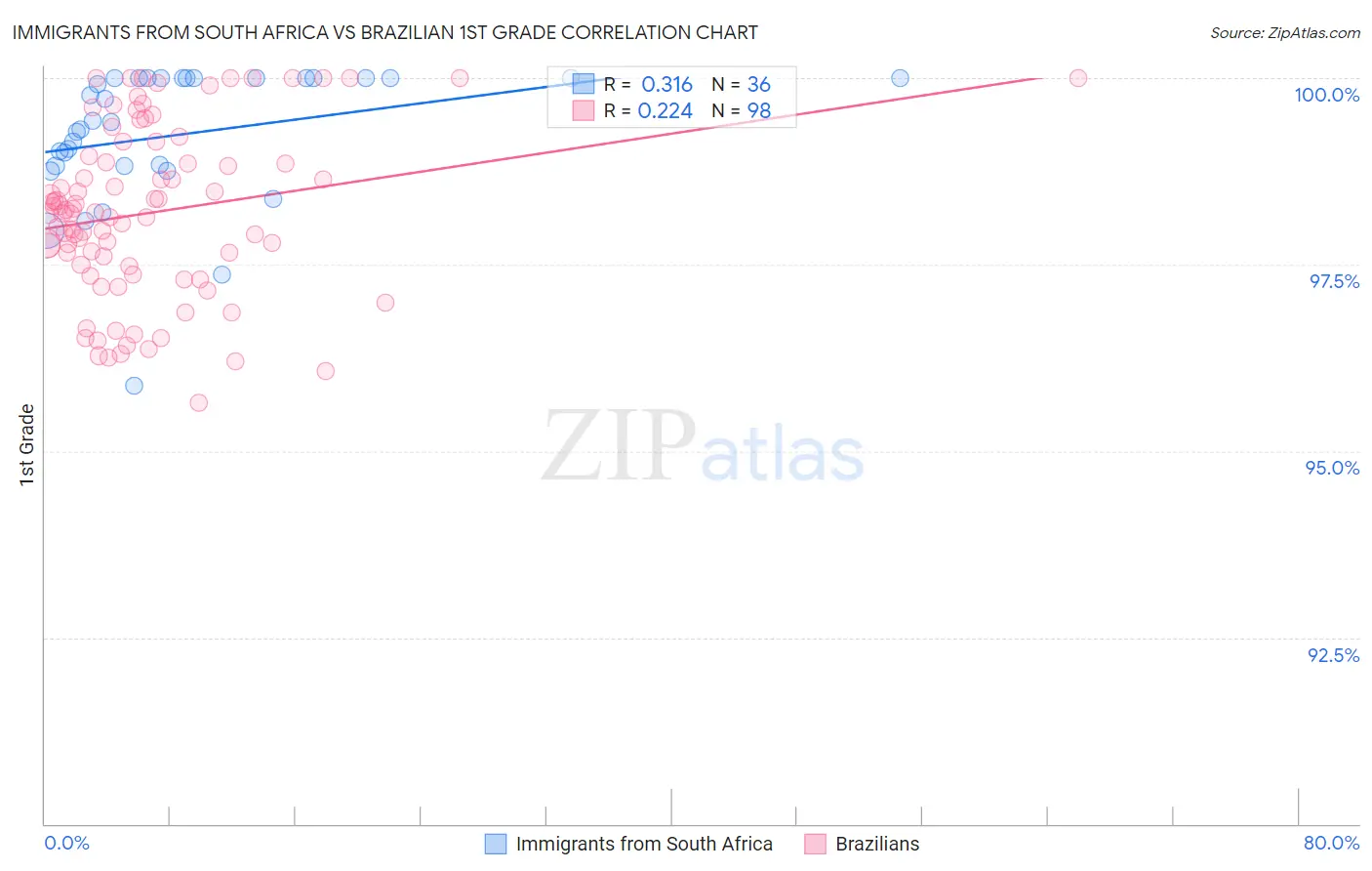 Immigrants from South Africa vs Brazilian 1st Grade