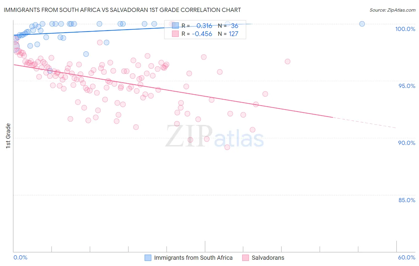 Immigrants from South Africa vs Salvadoran 1st Grade