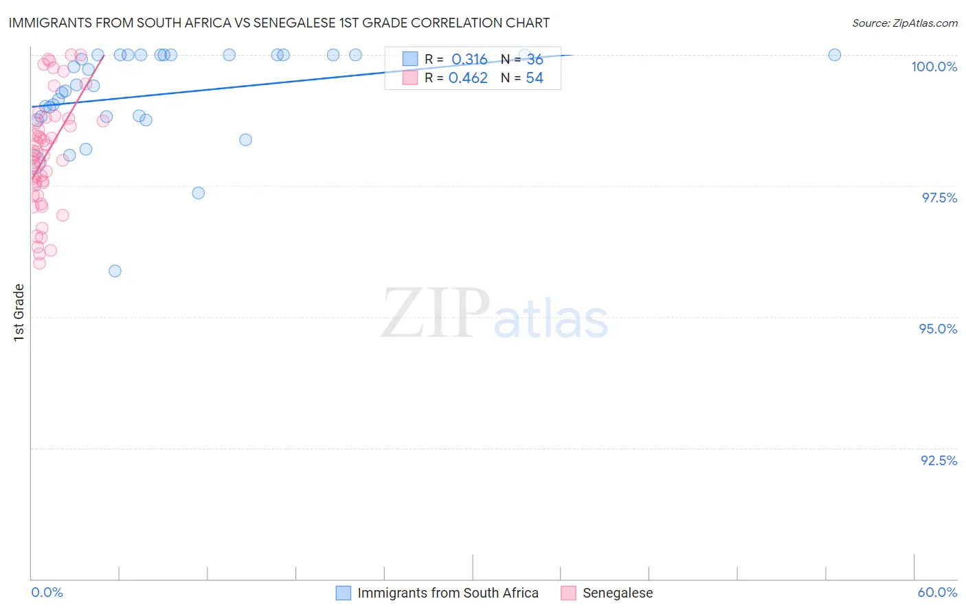 Immigrants from South Africa vs Senegalese 1st Grade