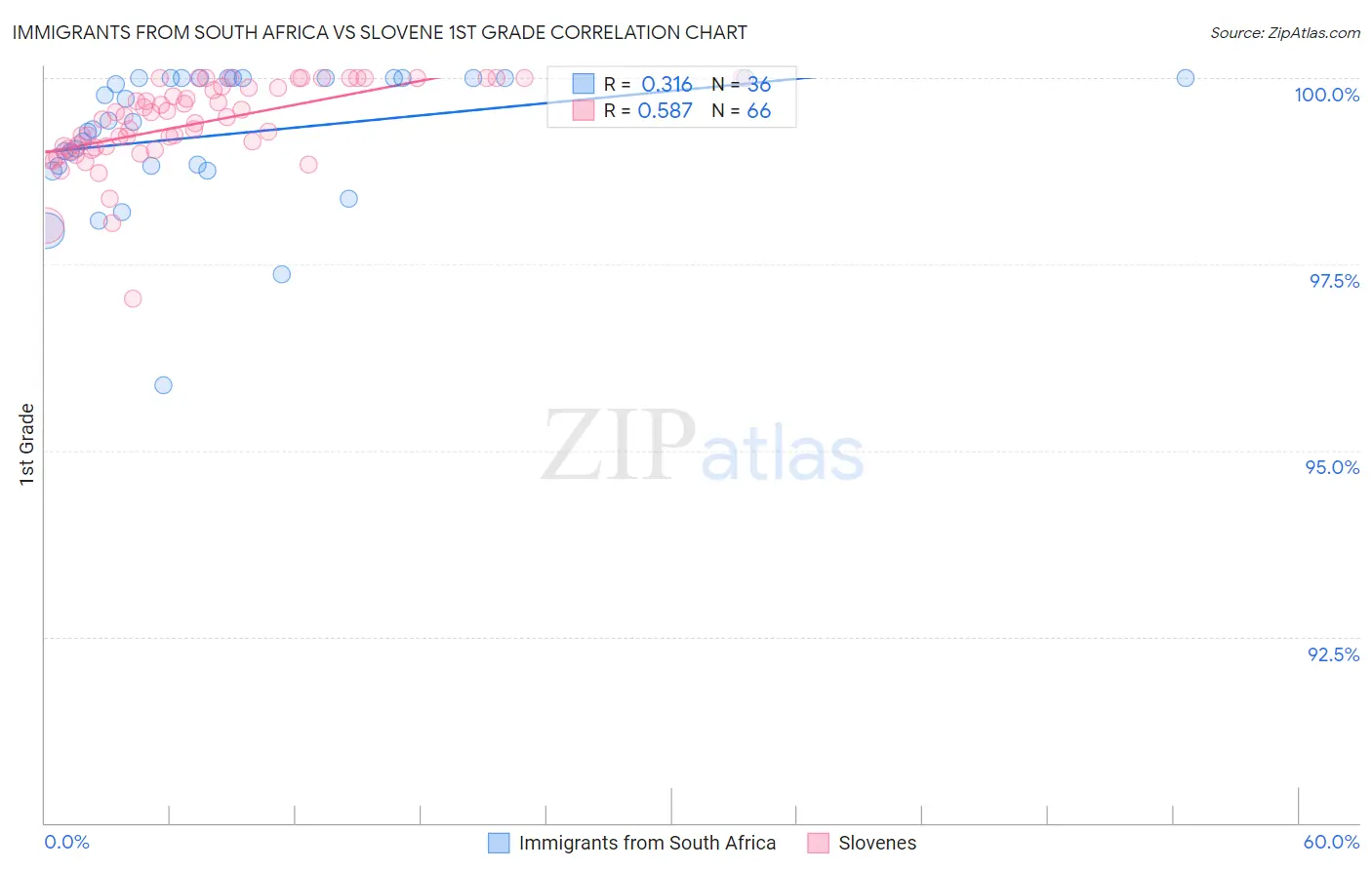 Immigrants from South Africa vs Slovene 1st Grade