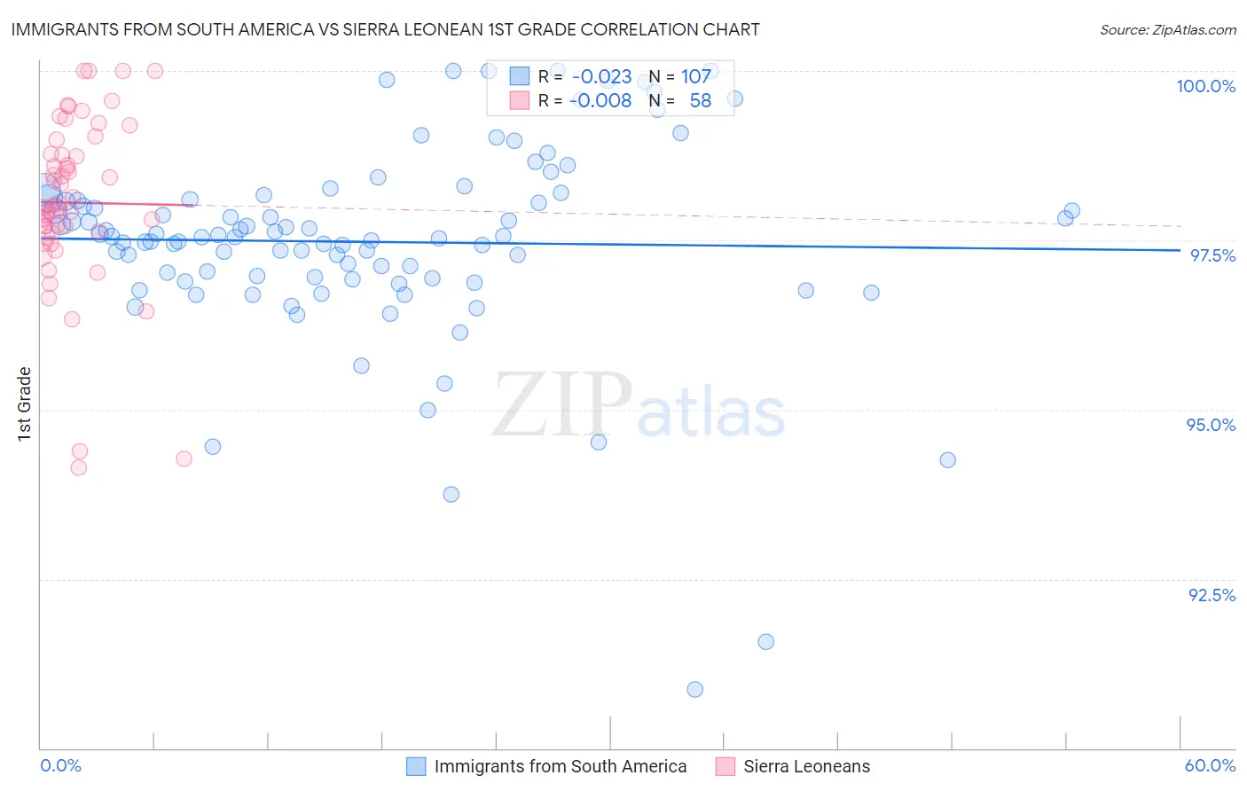 Immigrants from South America vs Sierra Leonean 1st Grade