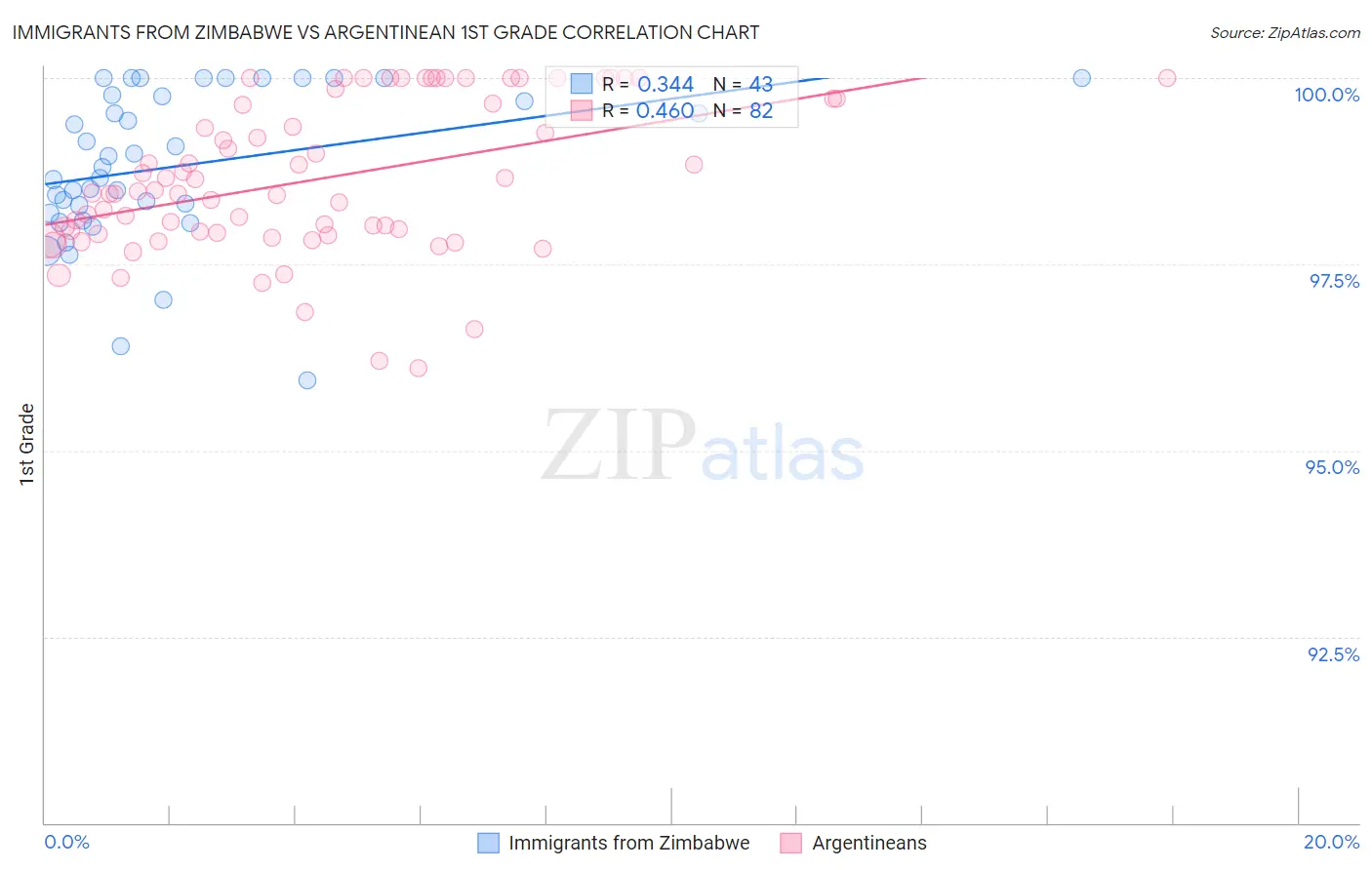 Immigrants from Zimbabwe vs Argentinean 1st Grade