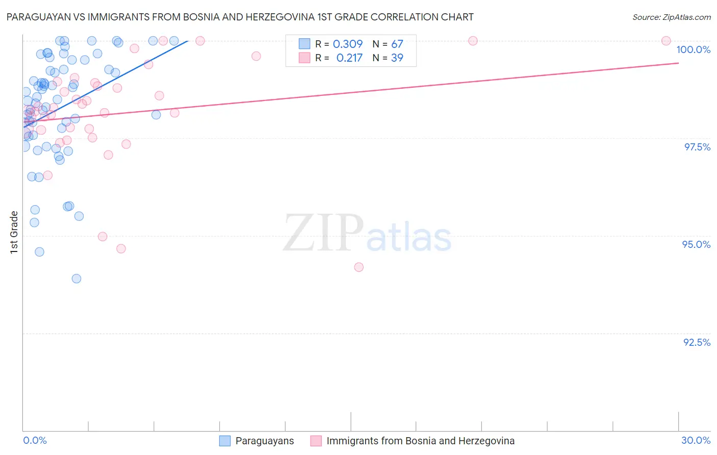 Paraguayan vs Immigrants from Bosnia and Herzegovina 1st Grade