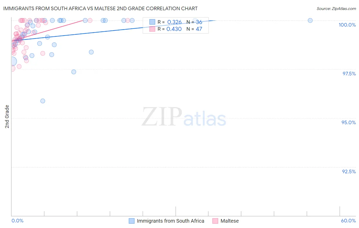 Immigrants from South Africa vs Maltese 2nd Grade