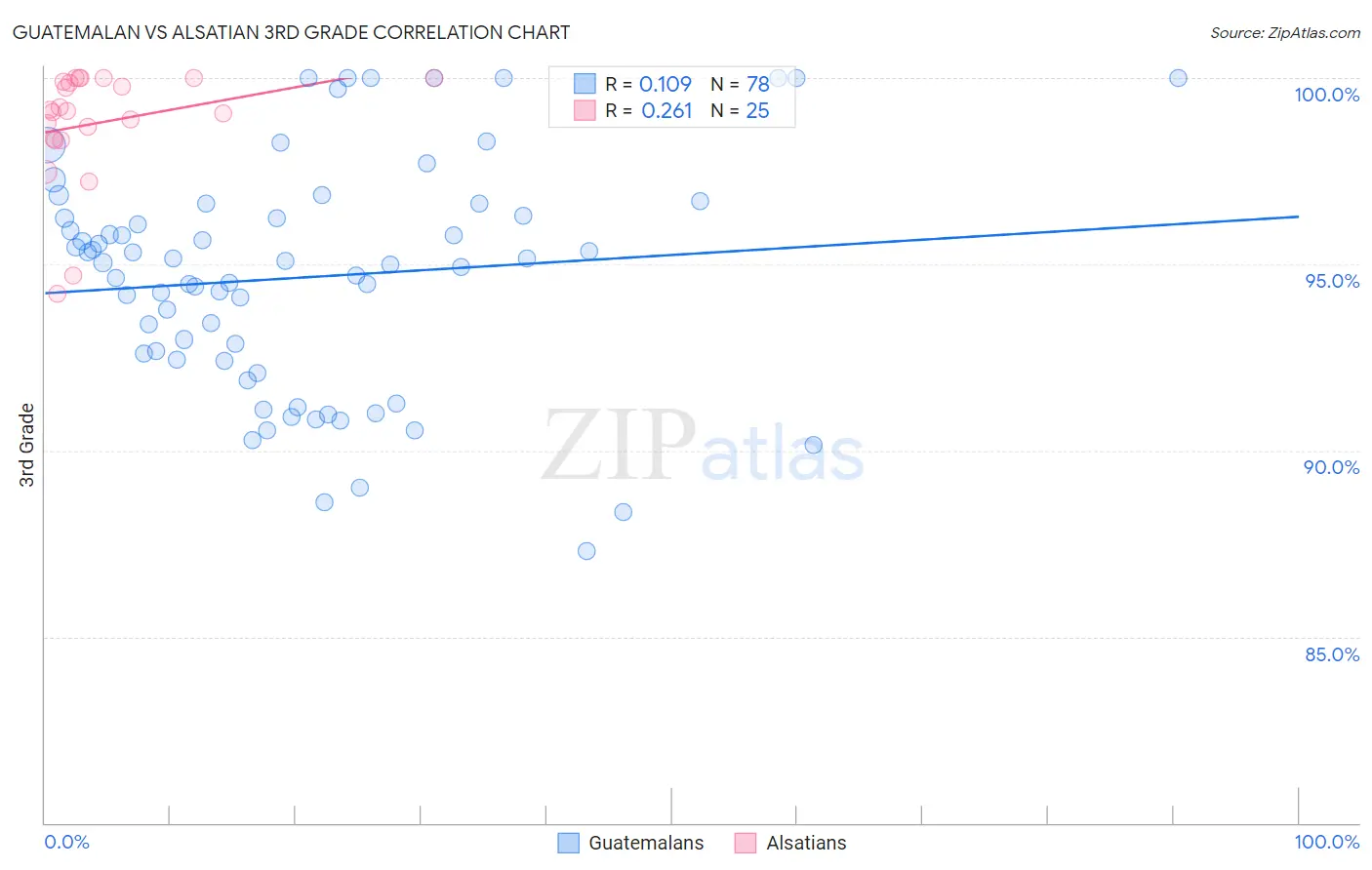 Guatemalan vs Alsatian 3rd Grade