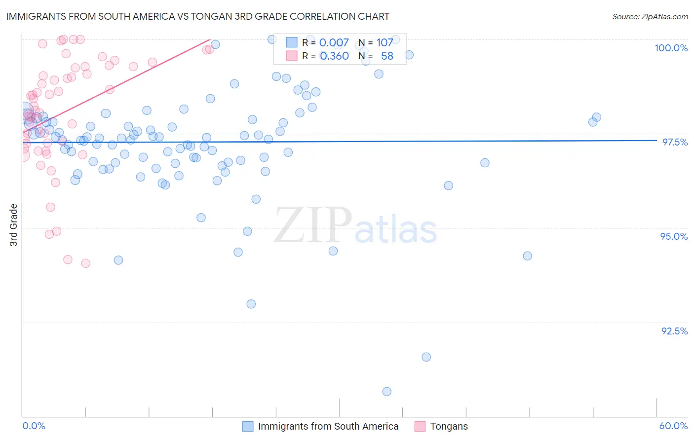 Immigrants from South America vs Tongan 3rd Grade