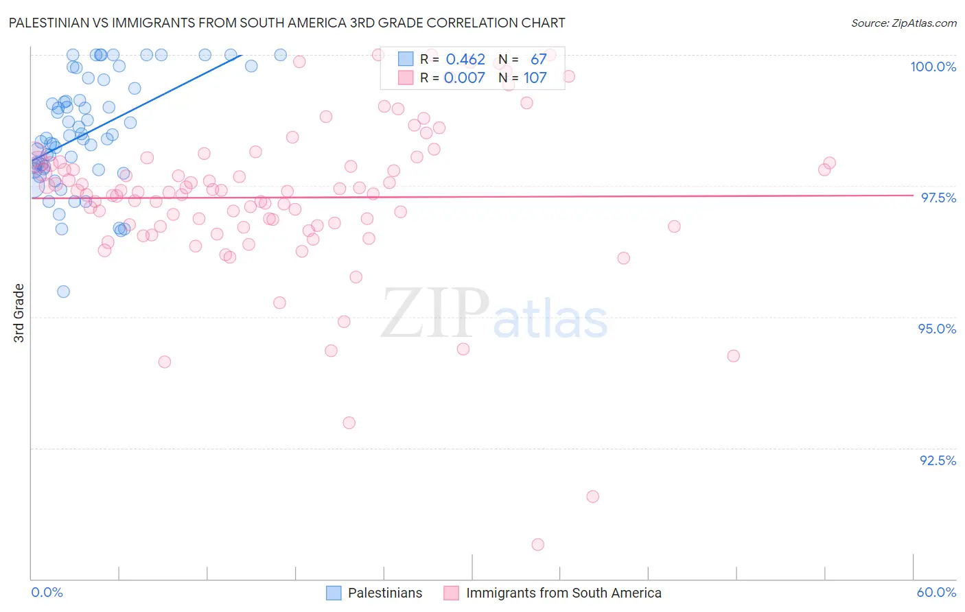 Palestinian vs Immigrants from South America 3rd Grade