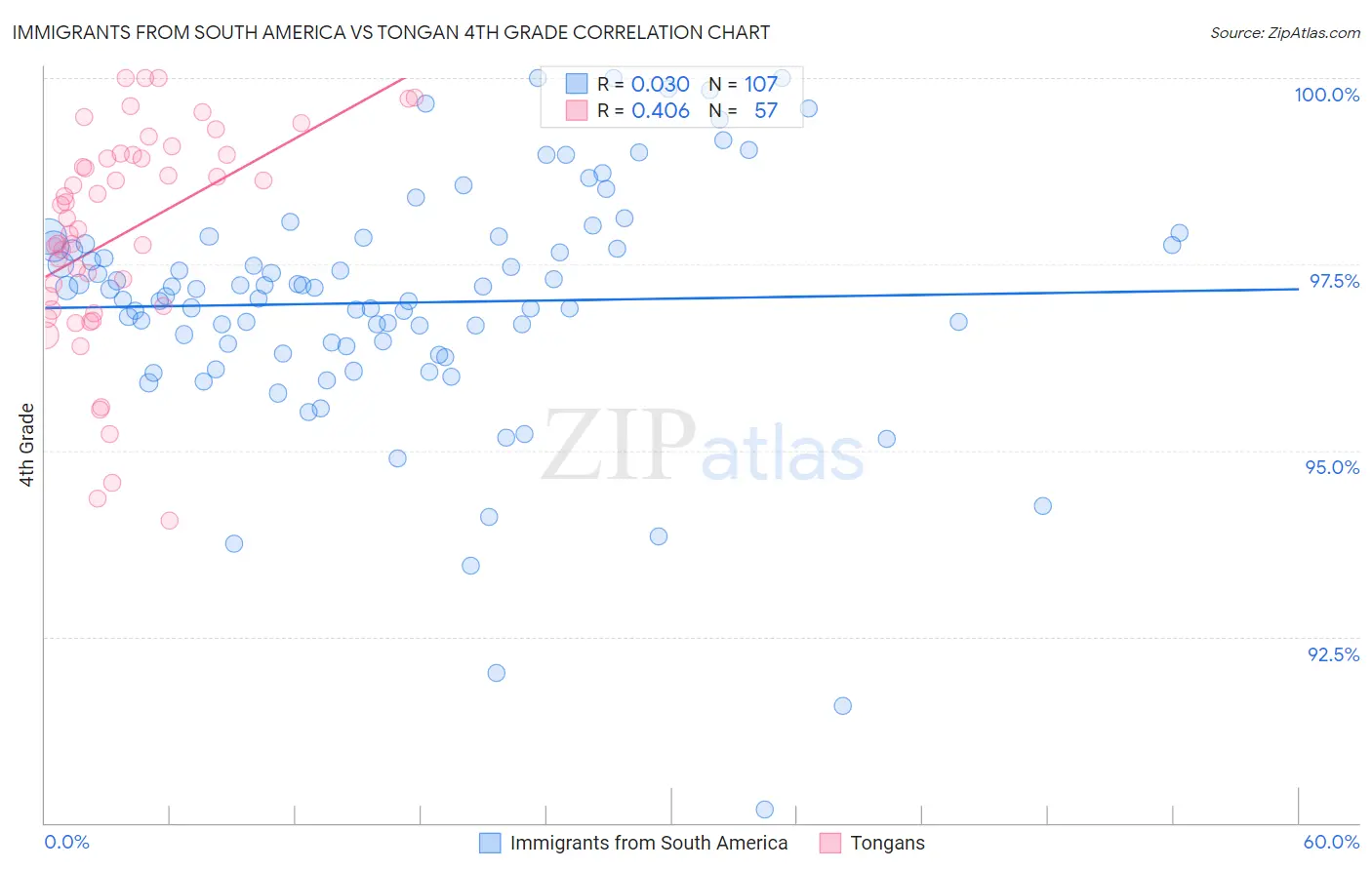 Immigrants from South America vs Tongan 4th Grade