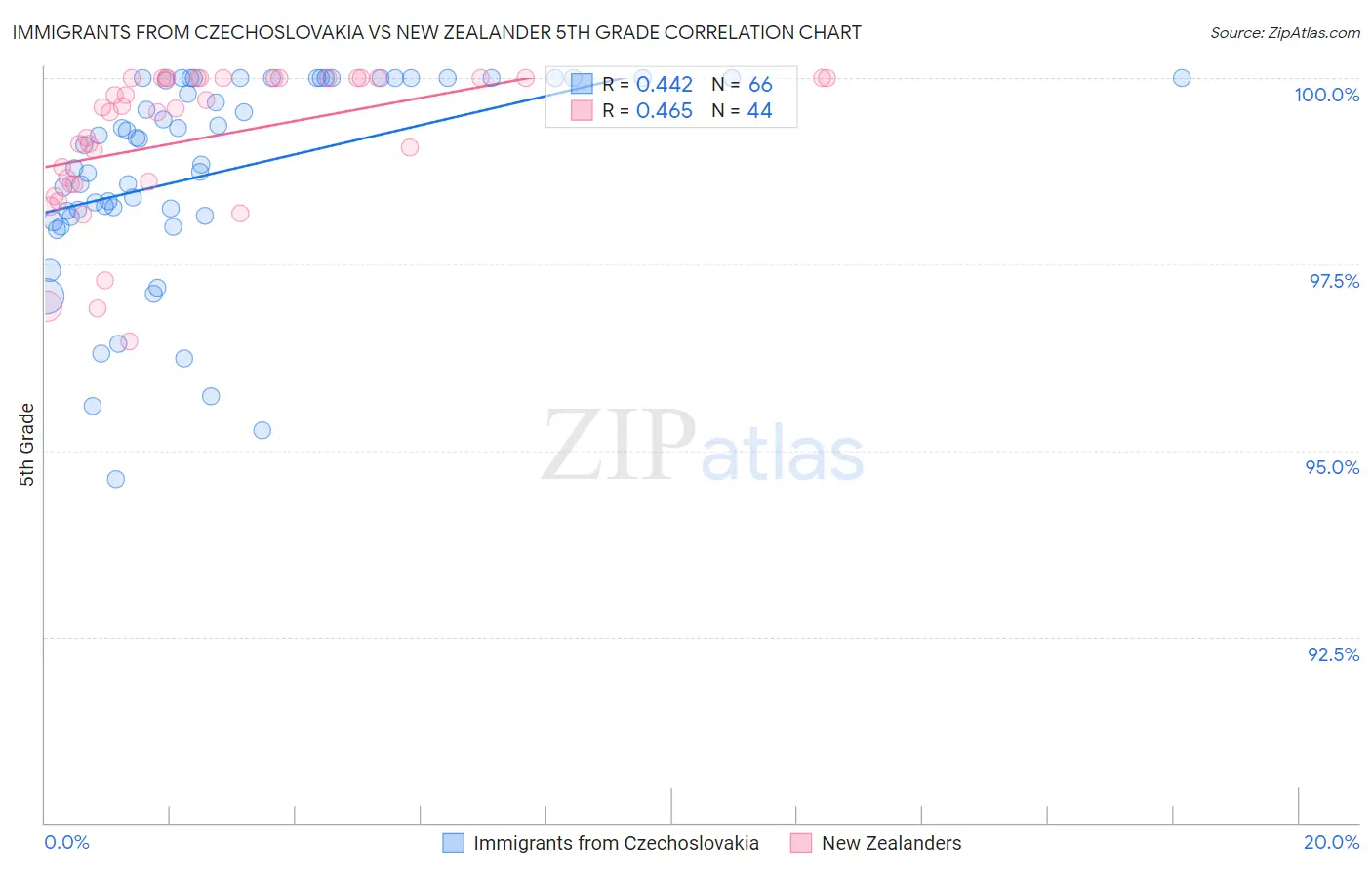 Immigrants from Czechoslovakia vs New Zealander 5th Grade