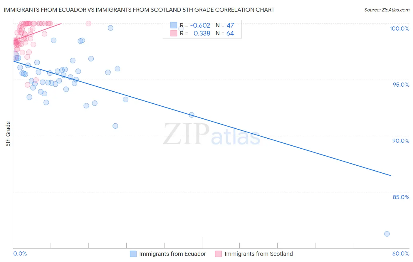 Immigrants from Ecuador vs Immigrants from Scotland 5th Grade