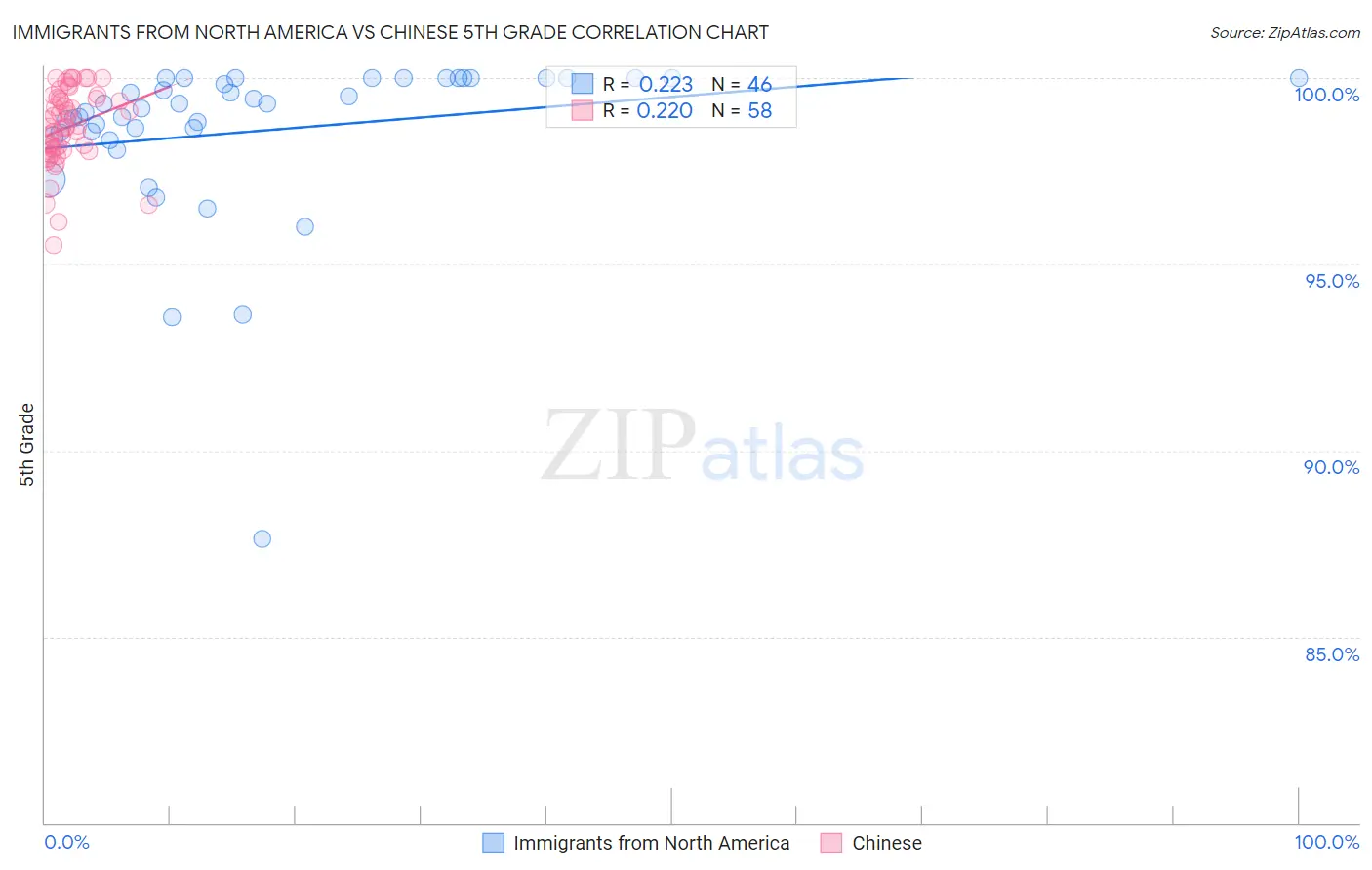 Immigrants from North America vs Chinese 5th Grade