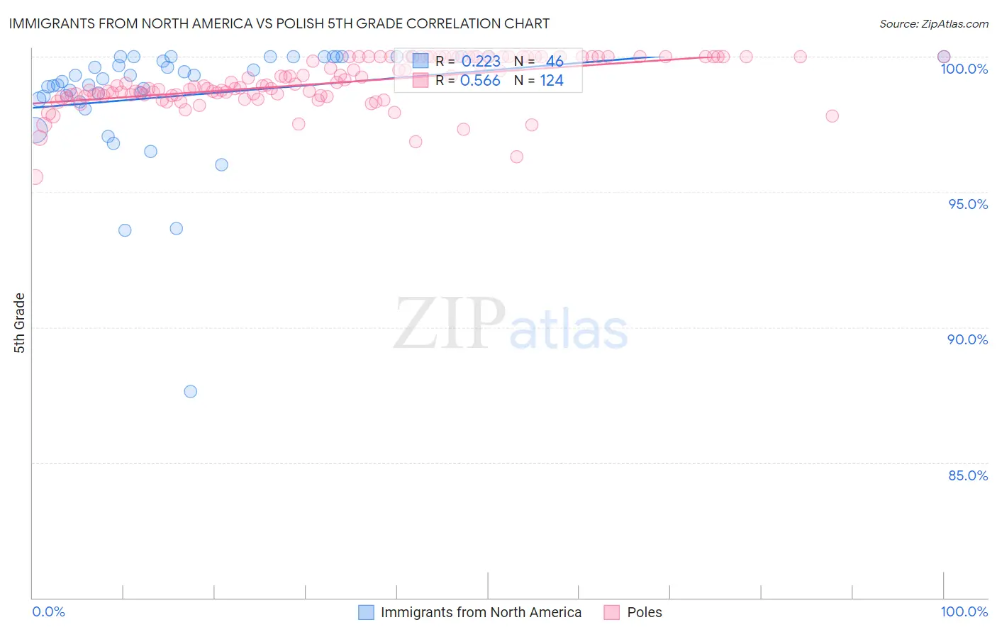 Immigrants from North America vs Polish 5th Grade