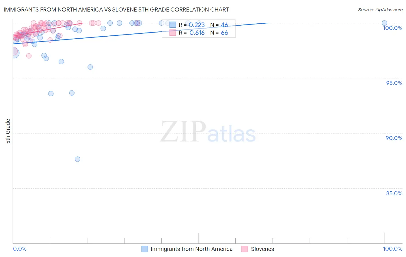 Immigrants from North America vs Slovene 5th Grade