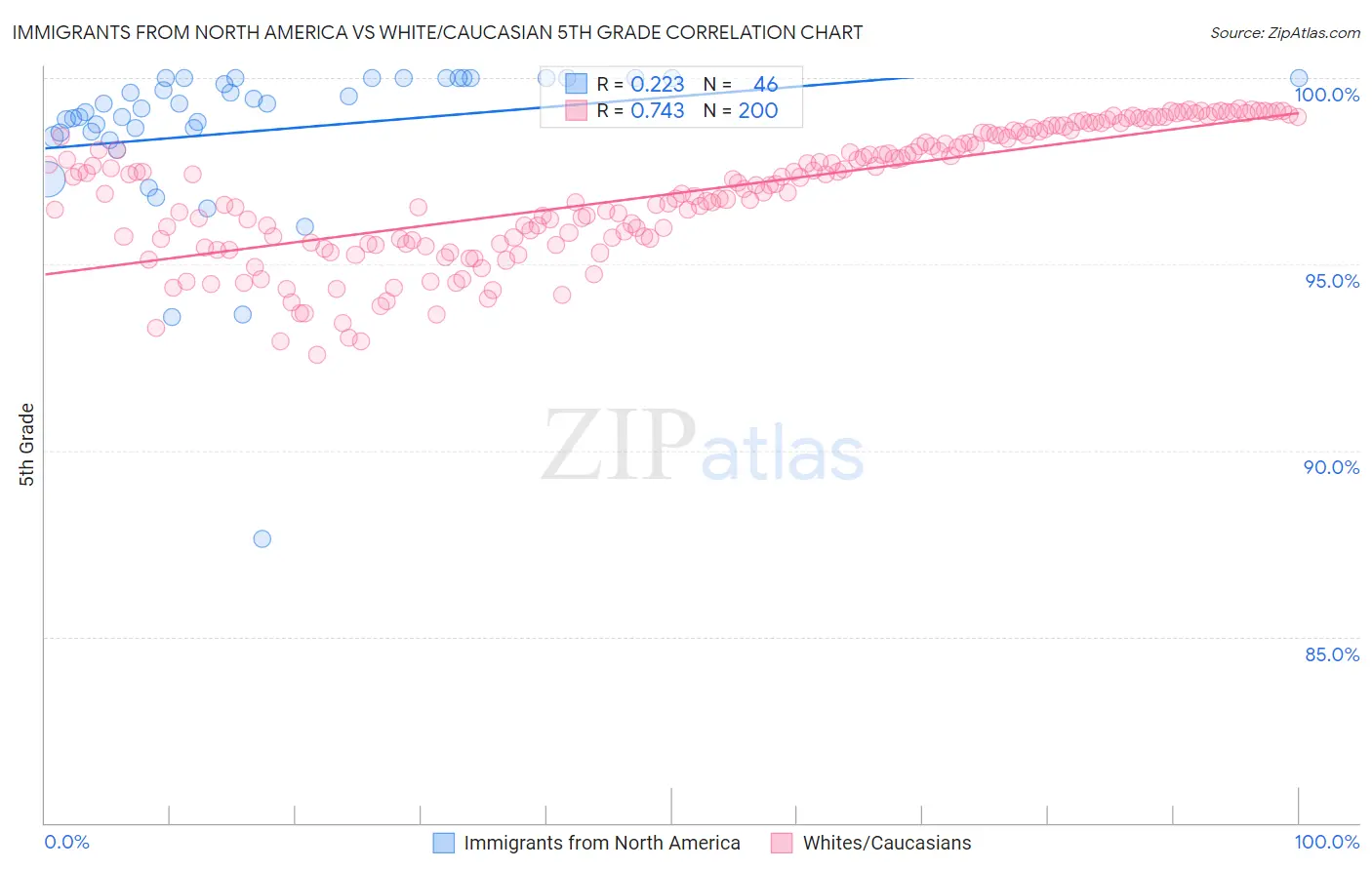 Immigrants from North America vs White/Caucasian 5th Grade