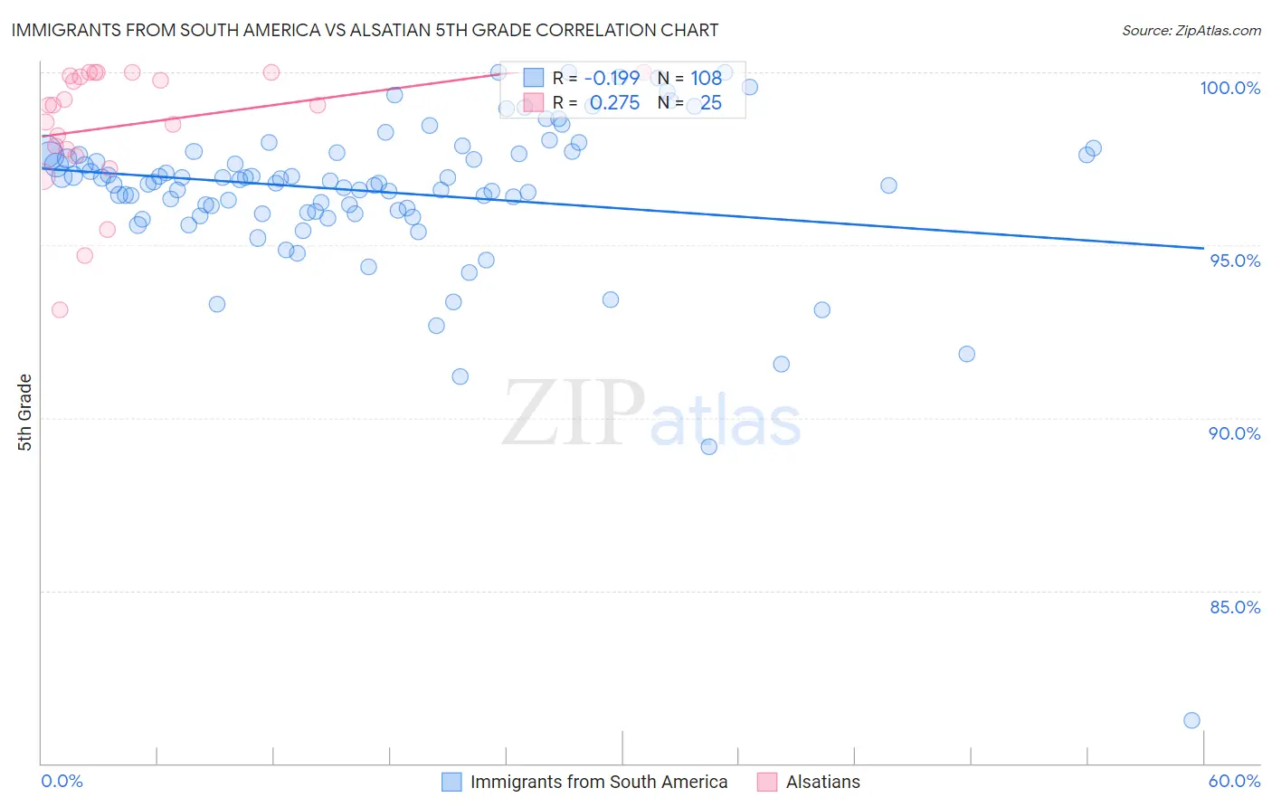 Immigrants from South America vs Alsatian 5th Grade