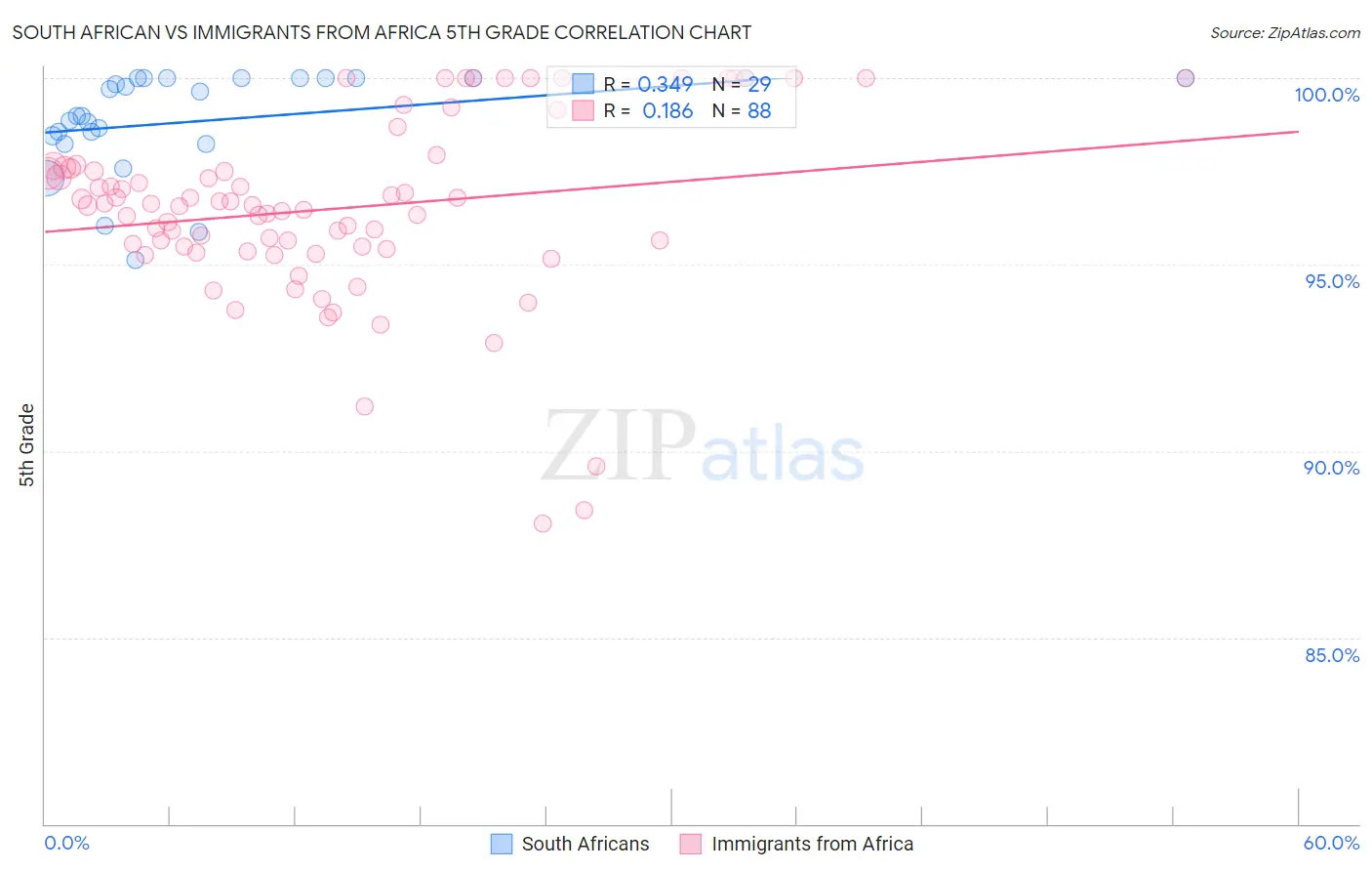 South African vs Immigrants from Africa 5th Grade