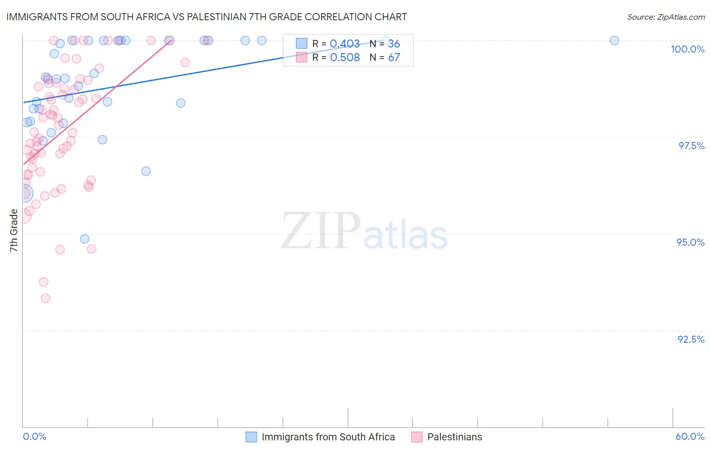 Immigrants from South Africa vs Palestinian 7th Grade