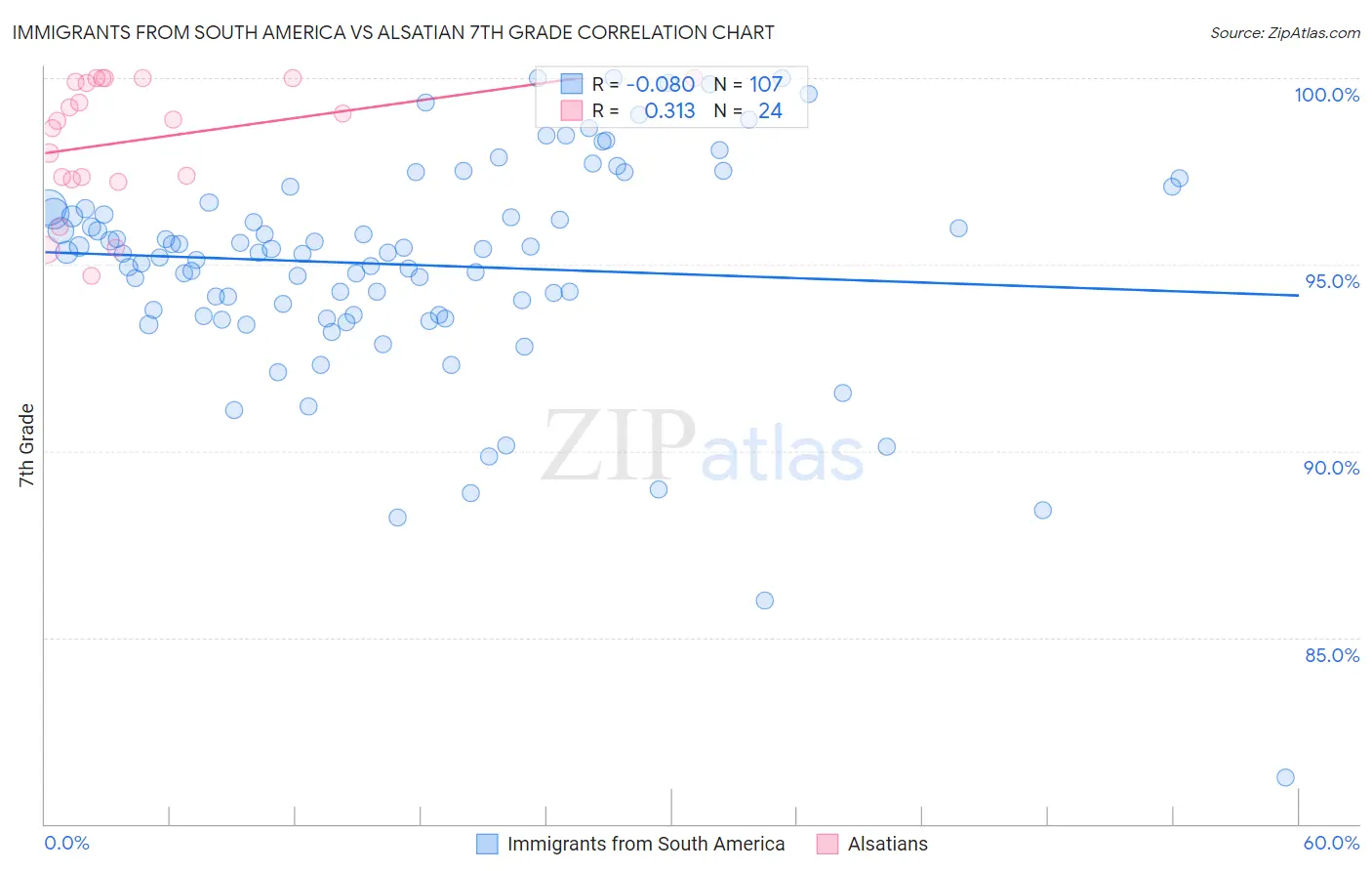 Immigrants from South America vs Alsatian 7th Grade