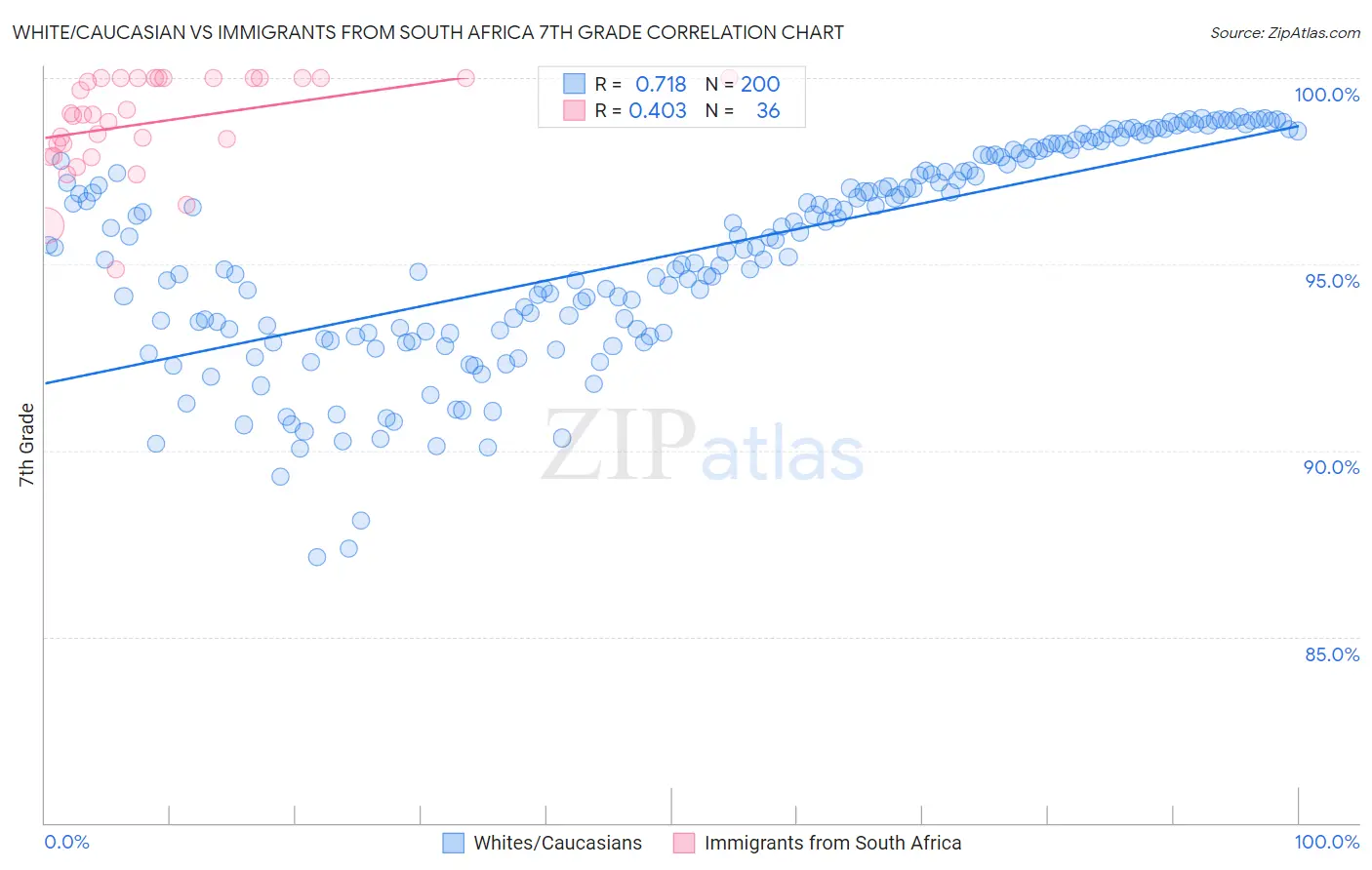 White/Caucasian vs Immigrants from South Africa 7th Grade