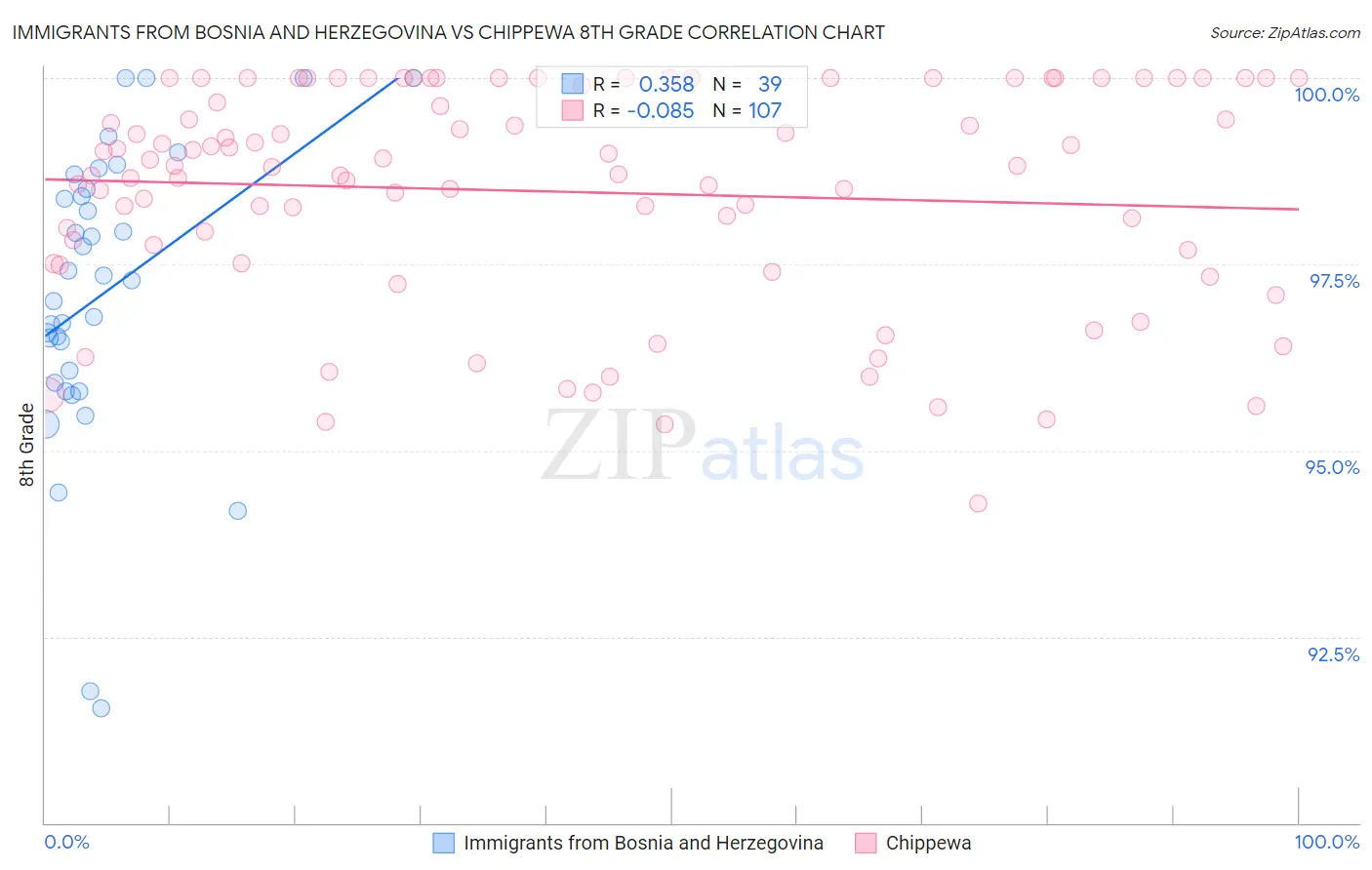 Immigrants from Bosnia and Herzegovina vs Chippewa 8th Grade