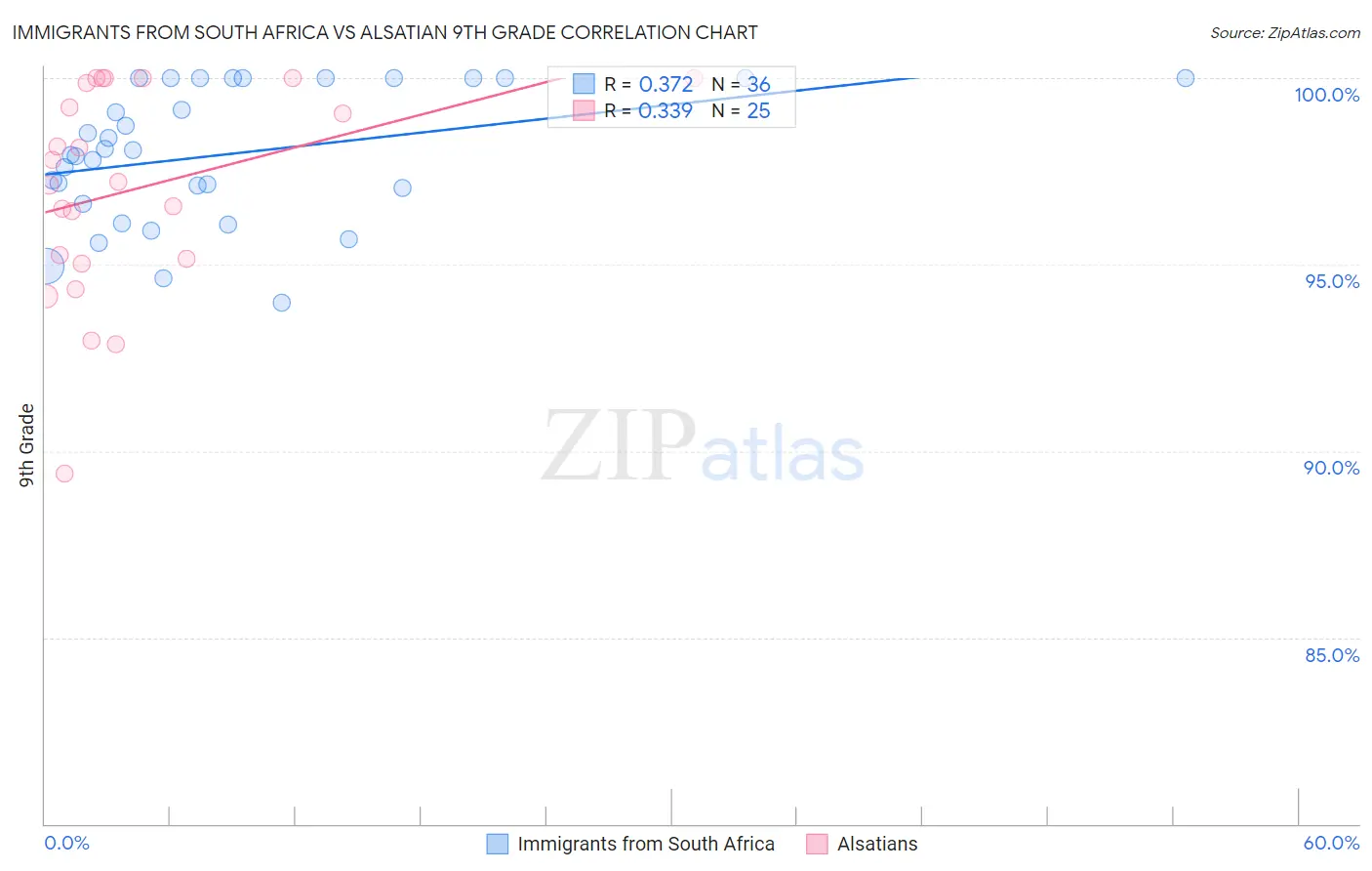 Immigrants from South Africa vs Alsatian 9th Grade