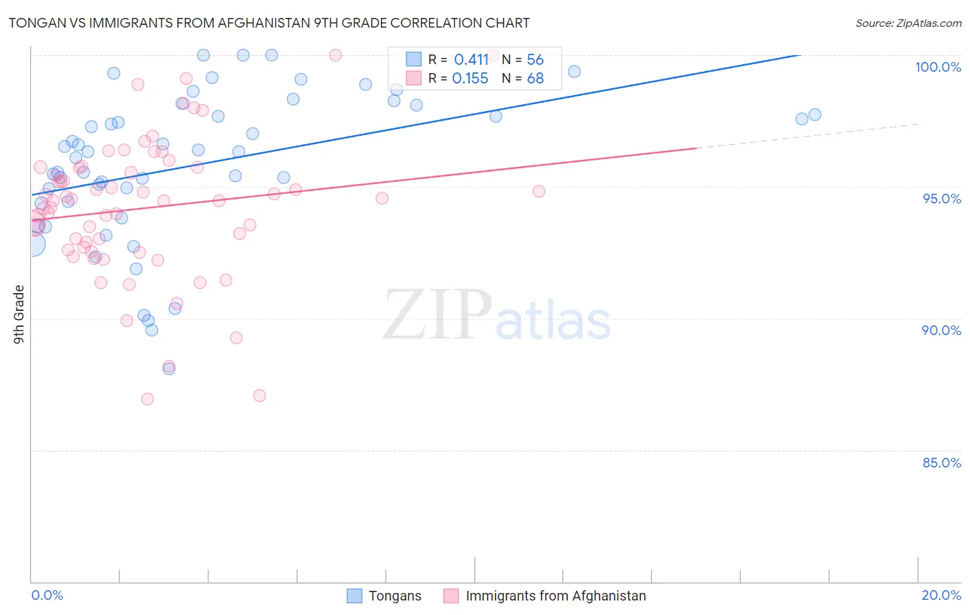 Tongan vs Immigrants from Afghanistan 9th Grade