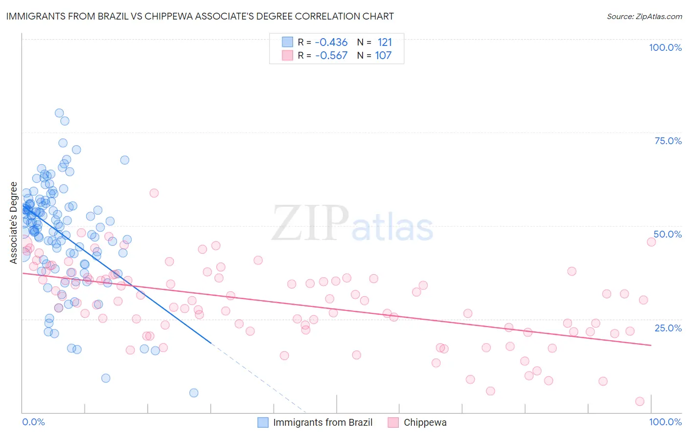 Immigrants from Brazil vs Chippewa Associate's Degree