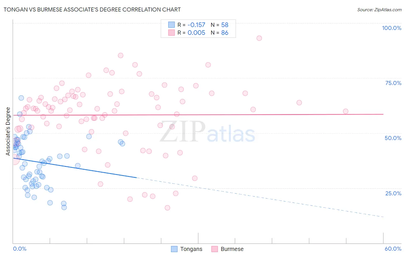 Tongan vs Burmese Associate's Degree