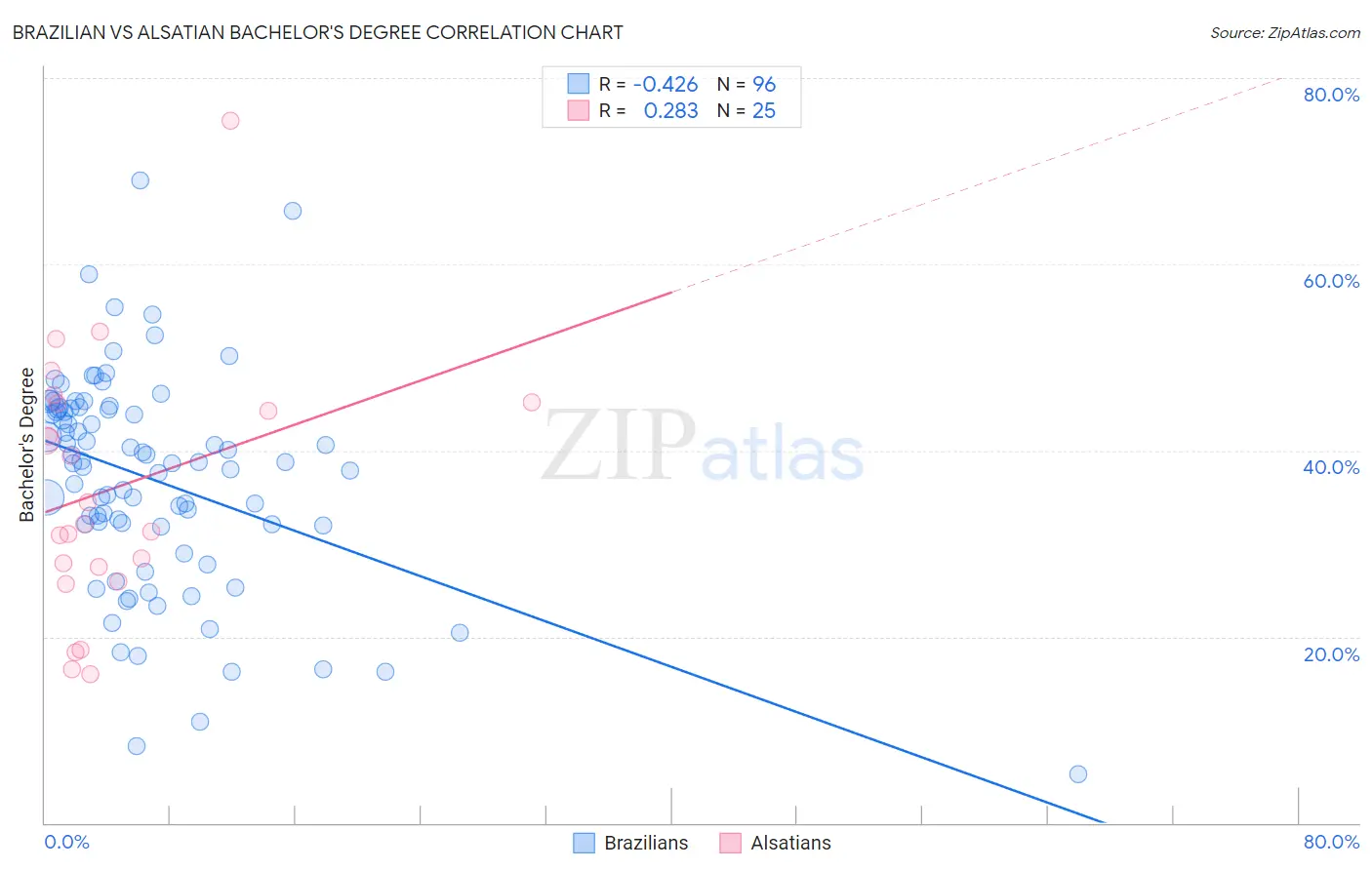 Brazilian vs Alsatian Bachelor's Degree