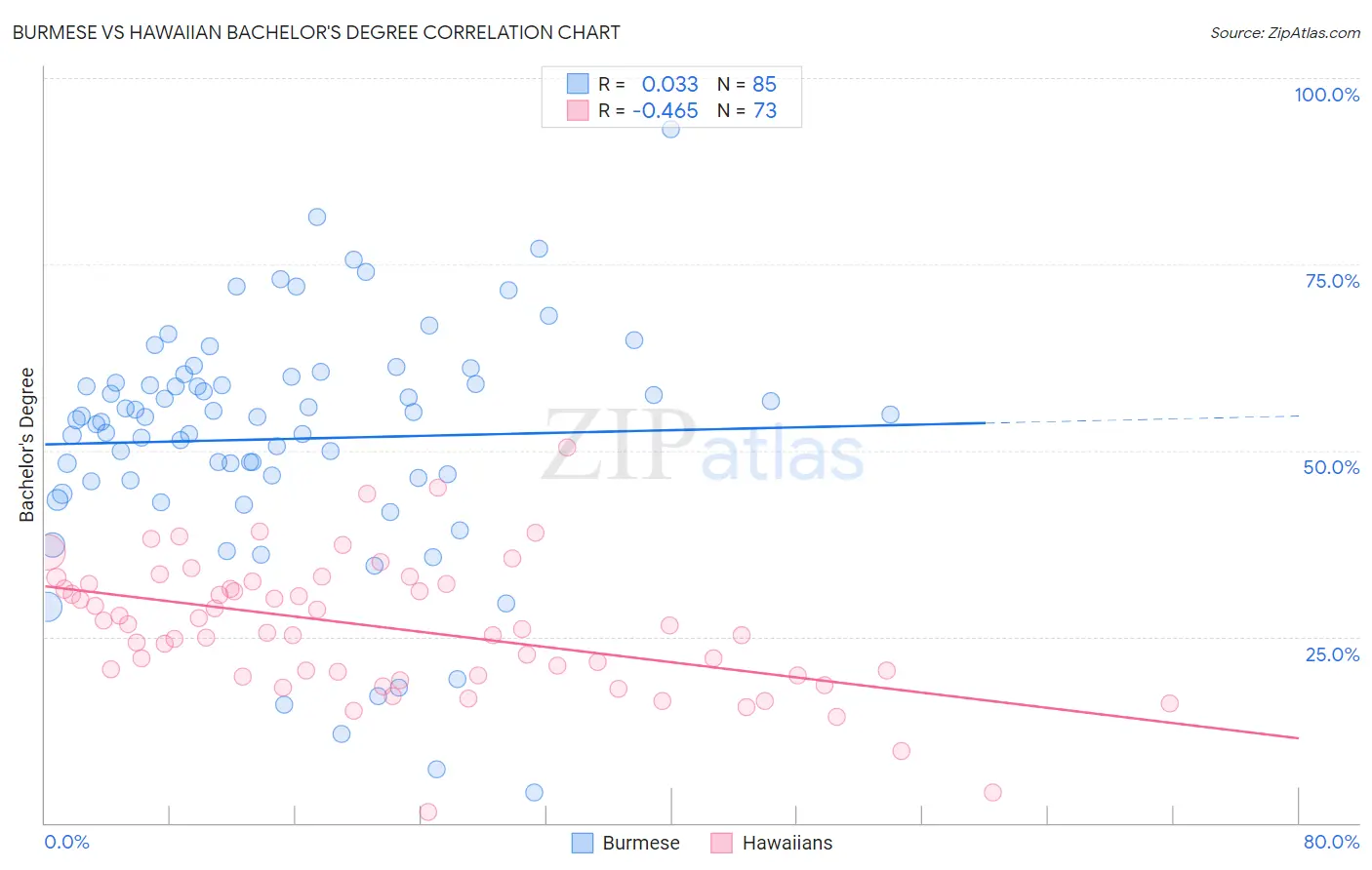 Burmese vs Hawaiian Bachelor's Degree