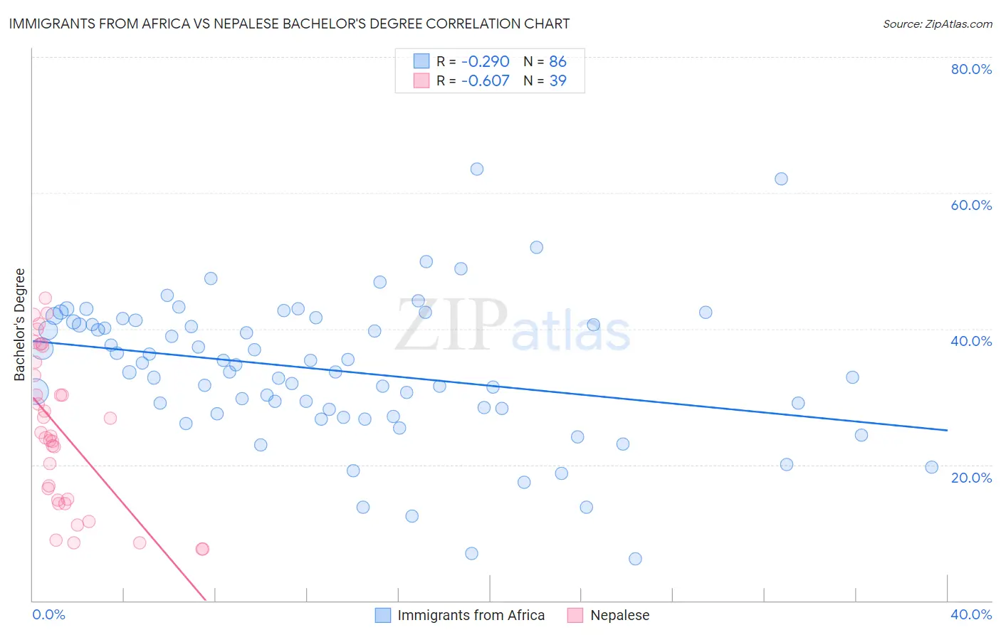 Immigrants from Africa vs Nepalese Bachelor's Degree