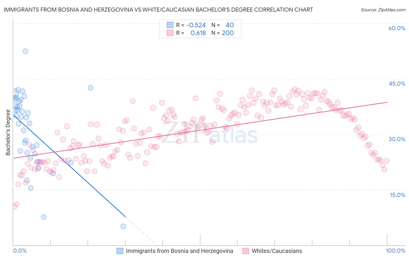 Immigrants from Bosnia and Herzegovina vs White/Caucasian Bachelor's Degree