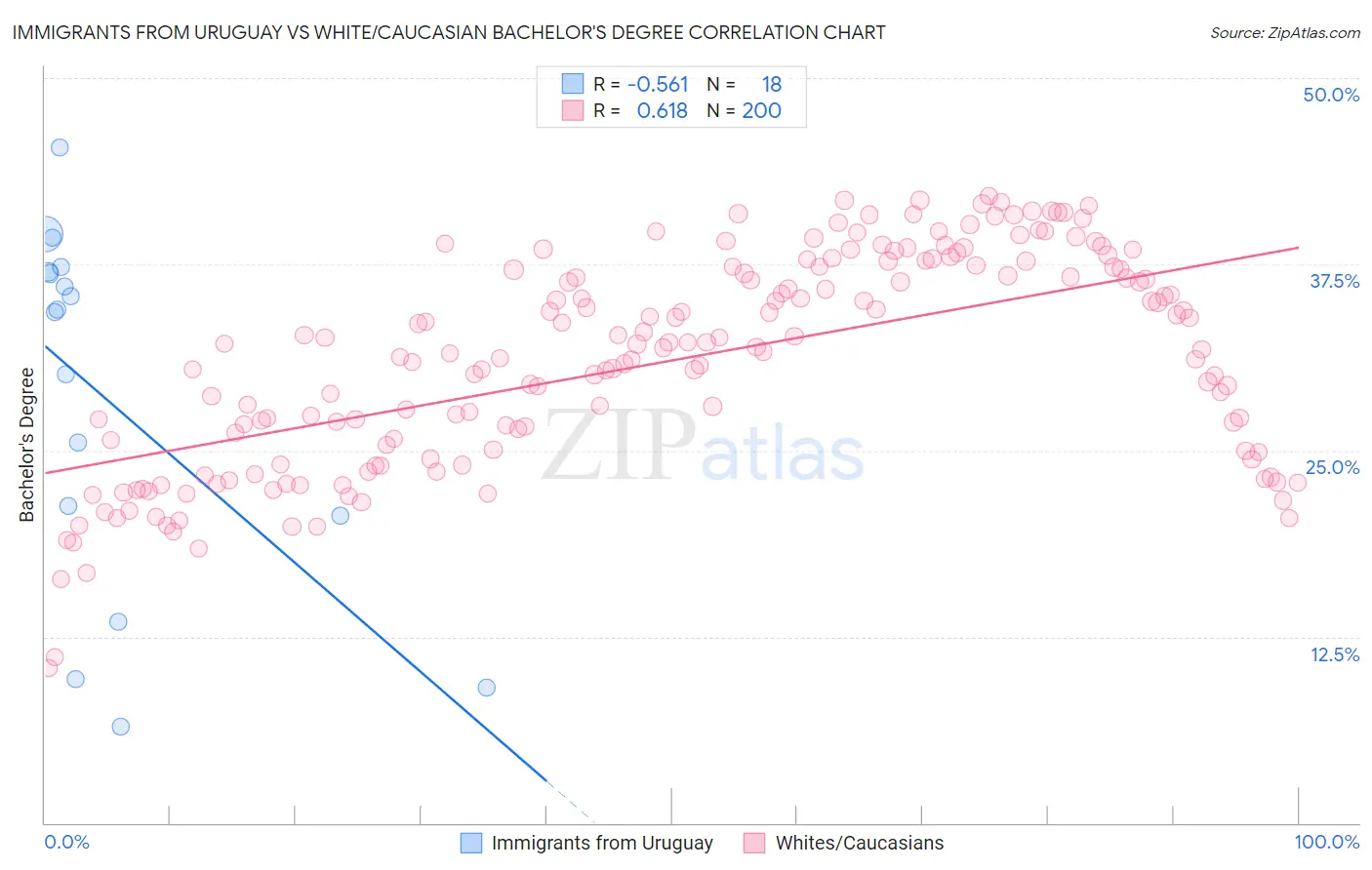 Immigrants from Uruguay vs White/Caucasian Bachelor's Degree