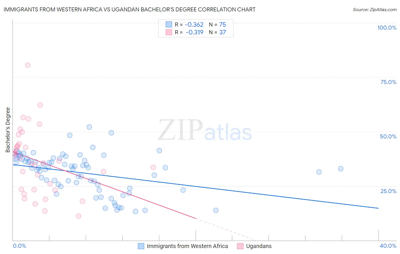 Immigrants from Western Africa vs Ugandan Bachelor's Degree