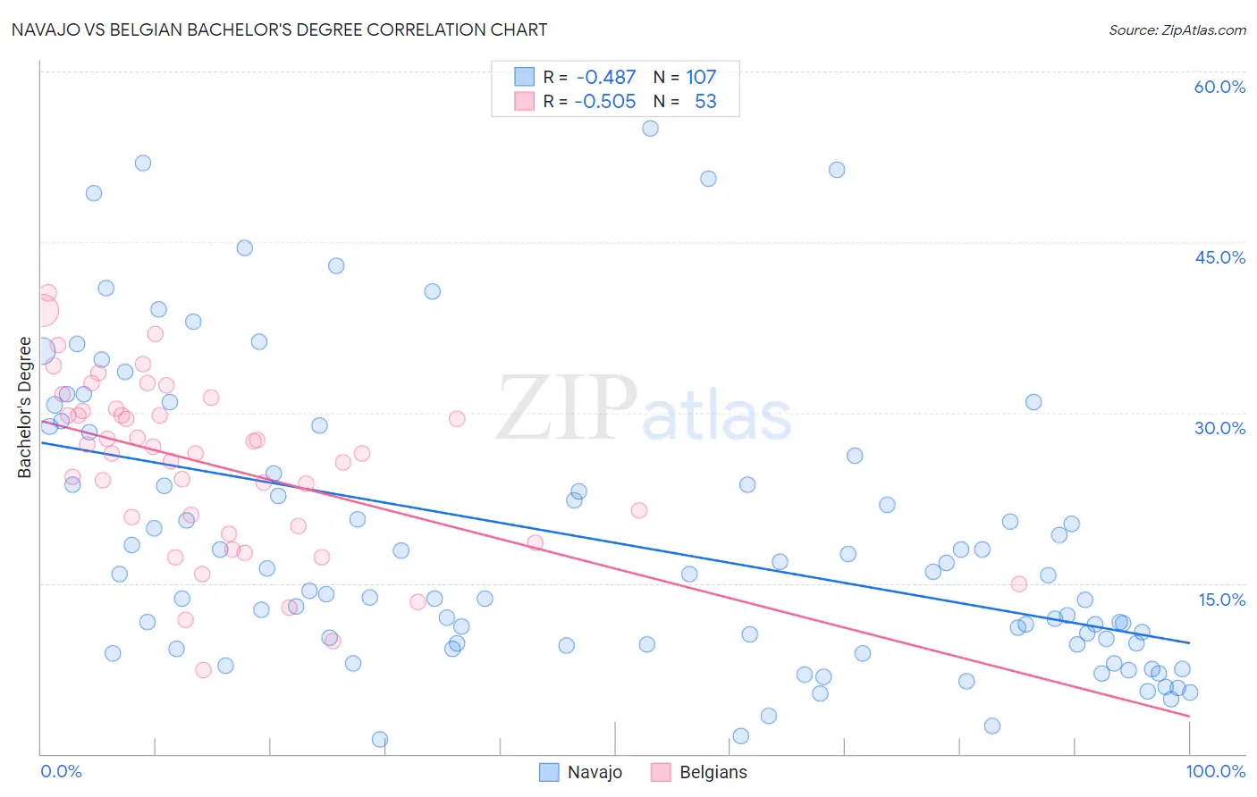 Navajo vs Belgian Bachelor's Degree