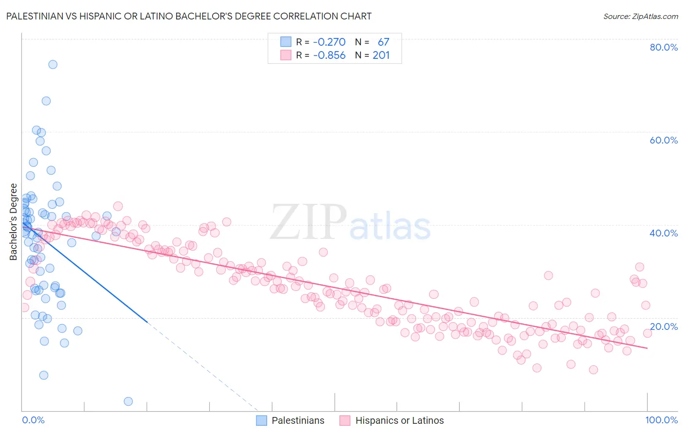 Palestinian vs Hispanic or Latino Bachelor's Degree