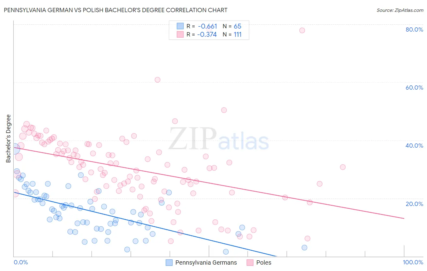 Pennsylvania German vs Polish Bachelor's Degree