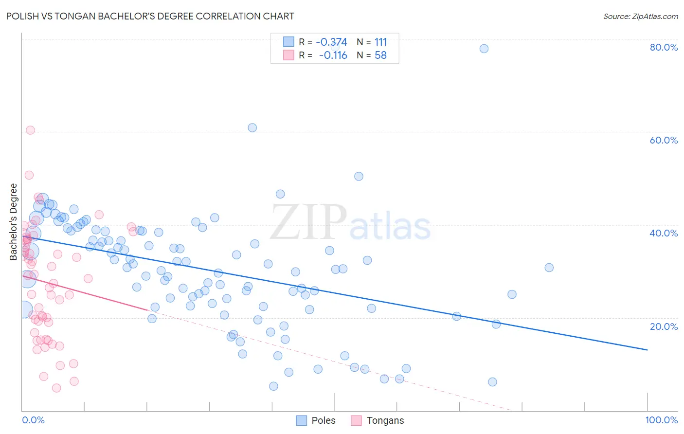 Polish vs Tongan Bachelor's Degree